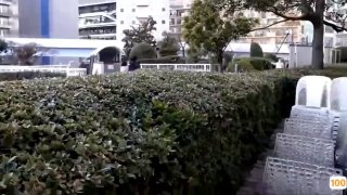 爸气十足 EP24